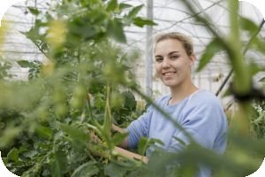 Ausbidlungsberuf Pflanzentechnolog*in Bild © MLR/Potente Ausbidlungsberuf Pflanzentechnolog*in Bild © MLR/Potente