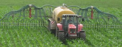 Düngung mit Schleppschlauch Traktor im Maisfeld